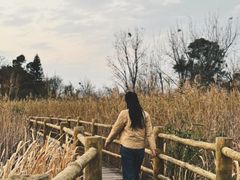 -西昌邛海宾馆