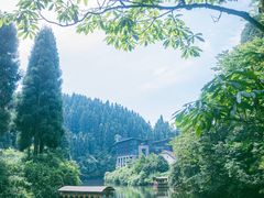 -龙苍沟森林公园