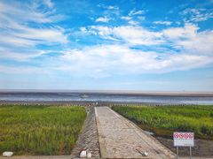 -南汇嘴观海公园