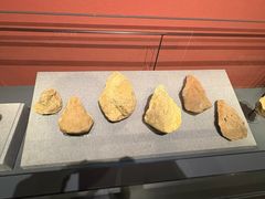 -广西壮族自治区博物馆