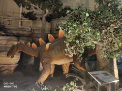 -国家自然博物馆