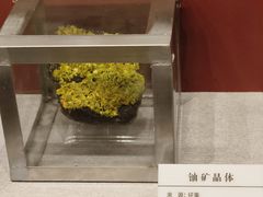 -贵州省地质博物馆