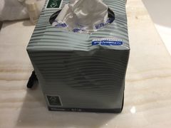 -上海嘉定喜来登酒店