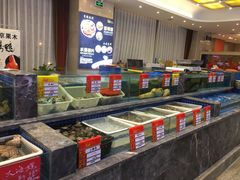 -骏莱海鲜鱼港(五角场店)