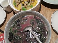 -聚鑫朋酸菜肥肠(文艺路口店)