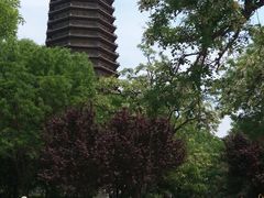 -玲珑塔公园