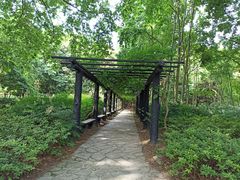 -共青国家森林公园-售票处