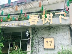 -春树下·树屋花房西餐厅(罍街AS1980店)