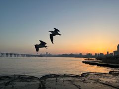 -星海广场