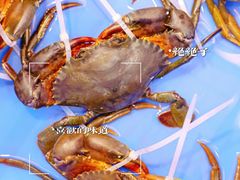 -丰尔粥食·顺德鱼生·干蒸排骨顺德菜(大良分店)