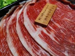 -诺莱仕游艇会