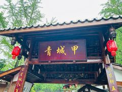 -青城甲(青城山店)