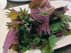 -揽月斋炙子烤肉·清真(安定门·五道营店)