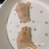 铭家