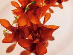 -玖五京菜(杭州城北万象城店)
