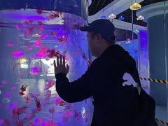 -重庆欢乐海底世界