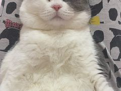-宠颐生·恒爱宠物医院(静海店)