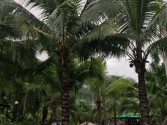 -100蛋泥浆浴