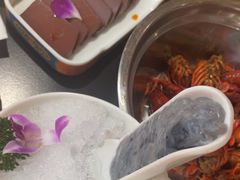 -京悦南门涮羊肉·羊蝎子火锅(田林路店)