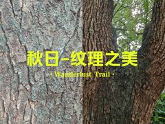 -深圳少年儿童图书馆