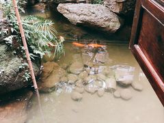 -鱼桥巷·美学川菜