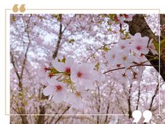 -龙美术馆(西岸馆)