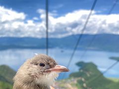 -丽江泸沽湖景区