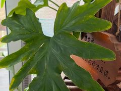 -慢丽江·云南野生菌土鸡锅(西山店)