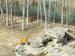 -济南野生动物世界