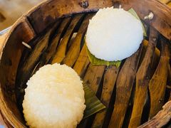 茨毛圆子-双塔老饭店