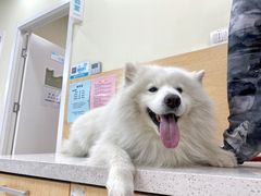 -美联众合动物医院·24h京西诊疗中心