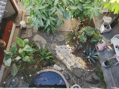 -大富贵烧烤公司(双廊店)