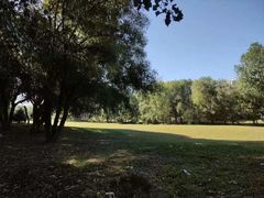 -长白岛森林公园