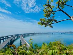 -星海湾跨海大桥