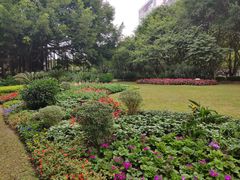 -南宁南湖公园