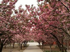 -山东大学(软件园校区)