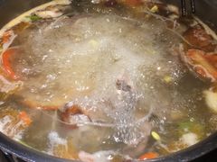 -守柴炉烤鸭(科华中路王府井店)