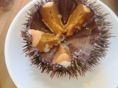 -海胆小馆(东北水饺·春柳店)