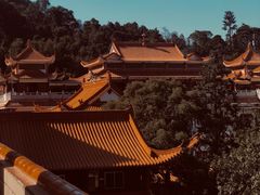 -深圳仙湖植物园