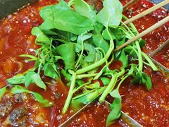 -肥龙火锅(南坪店)