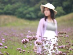 -大塘金香草谷