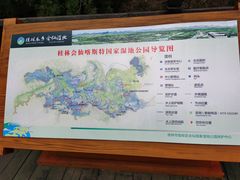 -会仙湿地