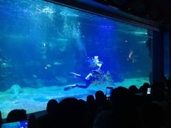 -石家庄海洋公园