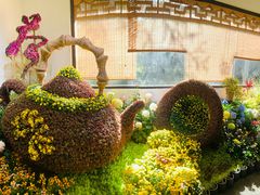 -杭州植物园
