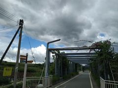 -光明小镇欢乐田园