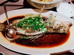 清蒸桂花鱼-金鸭季·北京烤鸭(深业上城店)