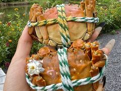 -丫丫蟹庄·苏式园林农家乐·阳澄湖大闸蟹(阳澄湖莲花岛店)