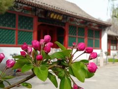 -海棠花溪(元大都城垣遗址公园)
