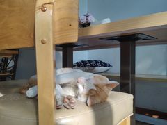 -WATER CAFE(广厦店)