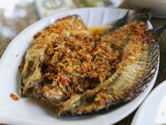 傣味烤鱼-晓雯人家